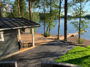 Villa Terveenniemi in Helsinki